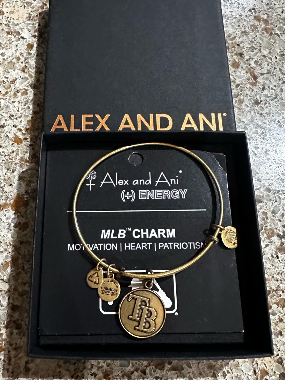 Alex and Ani Gold Tampa Bay MLB Charm Bangle Bracelet